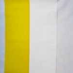 CHORĄGIEWKA FOLIA PAPIESKA PROFIL 1