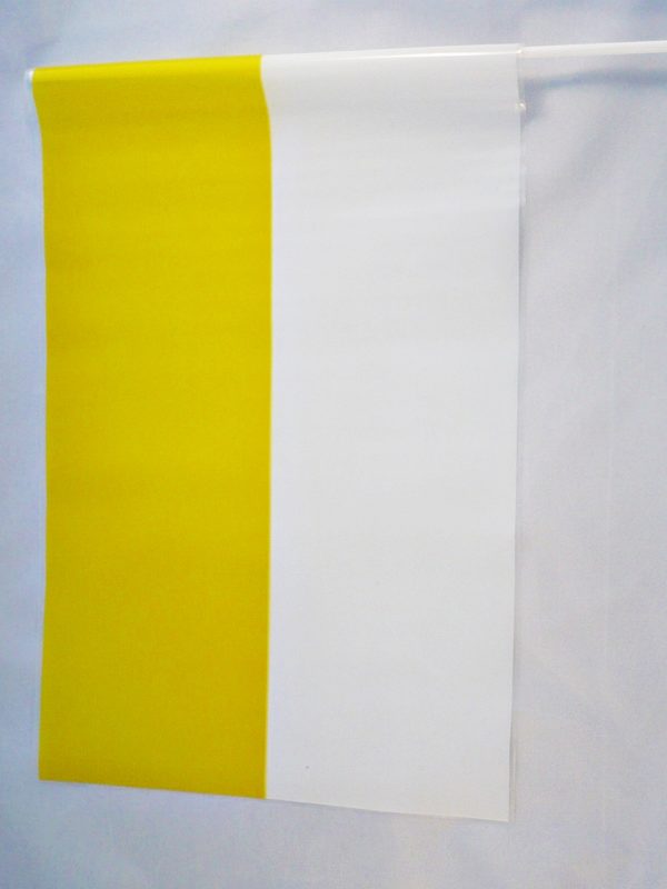 CHORĄGIEWKA FOLIA PAPIESKA PROFIL 1