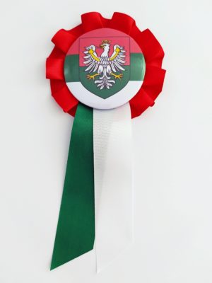 Kotylion flaga Zagłębie Dąbrowskie - Flaga Zagłębia Dąbrowskiego - obrazek 3