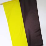 FLAGA KASZUB 1